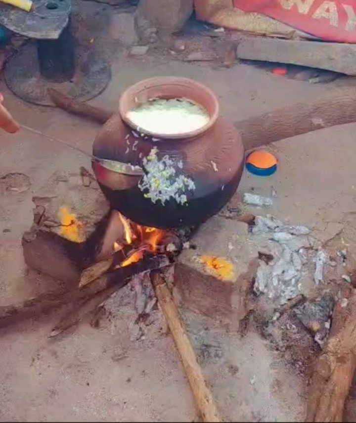 Pongal rice cooking in an earthen pot