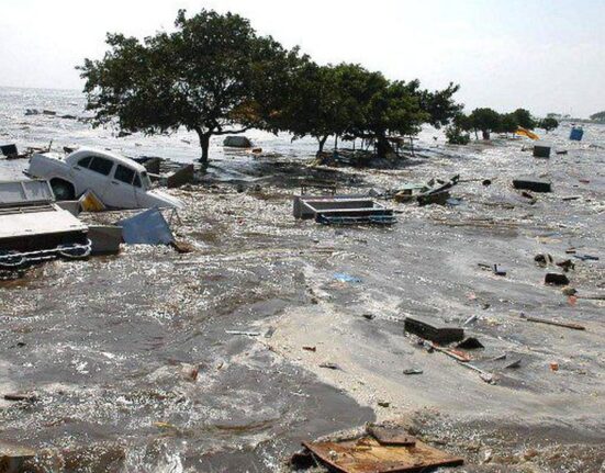 Tsunami in Indian Ocean (2004)