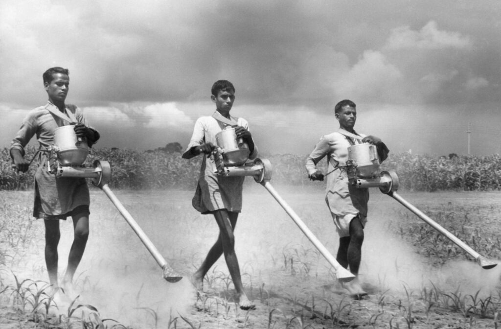 Green Revolution in India (1966)