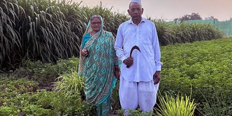 Green Revolution in India (1966)