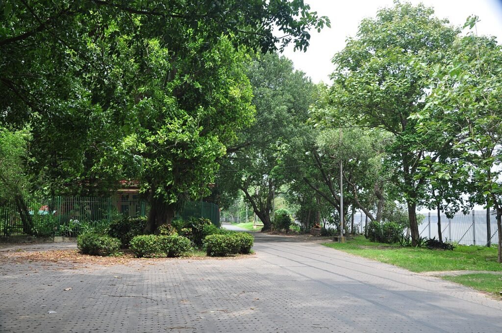 A J C BOSE BOTANIC GARDEN BESIDE RIVER HOOGHLY.jpg — related to He Would Not Patent It