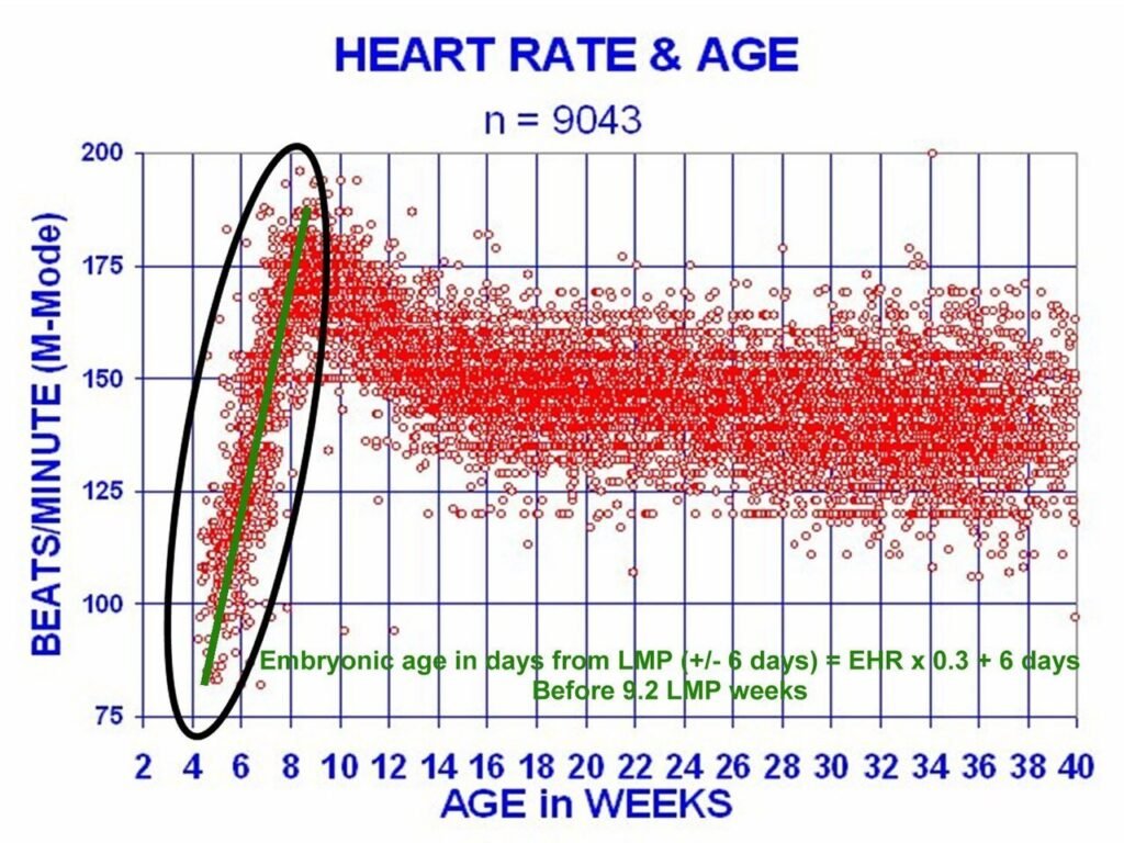 EHR-BBII.jpg — related to He Would Not Patent It