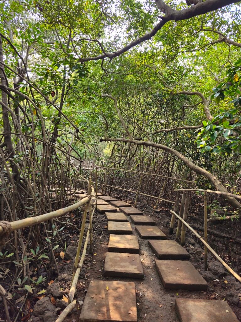 Salim Ali Bird Sanctuary Goa.jpg — related to The Jobless Year