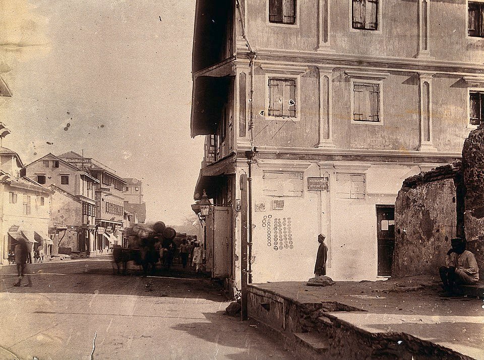 The Great Indian Timeline Bubonic Plague Outbreak in Bombay