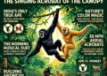 Hoolock Gibbon