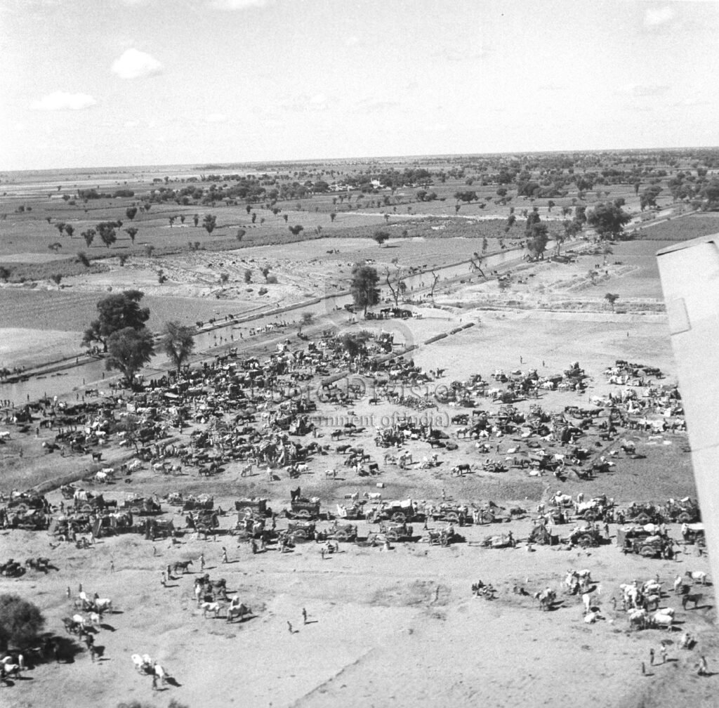 Refugees traveling across the newly formed borders during the 1947 Partition of
India